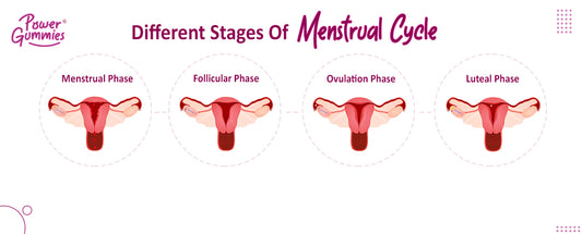 4 Phases We All Go Through During the Menstrual Cycle! | Period pain gummies